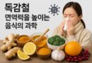 독감철, 면역력을 높이는 음식의 과학