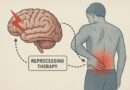 뇌가 만드는 통증? ― ‘통증 재처리 요법’으로 허리 통증 완화 가능성