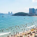 피곤함이 계속된다면 비타민D만의 문제일까